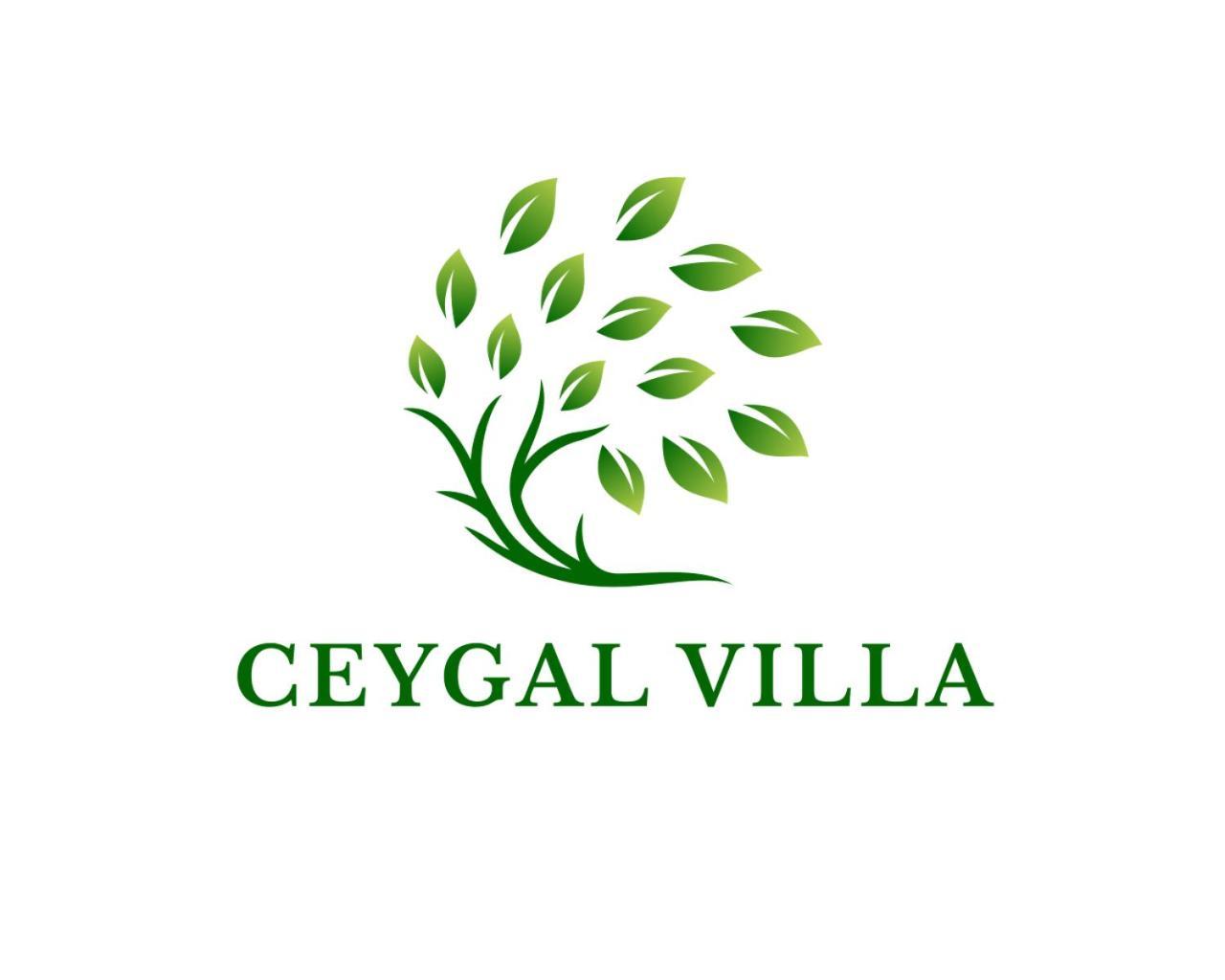 Ceygal Galle